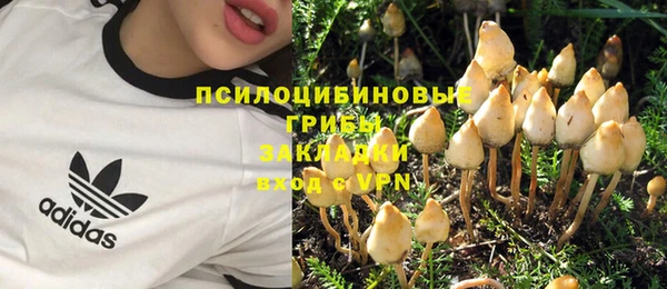 прущая мука Долгопрудный
