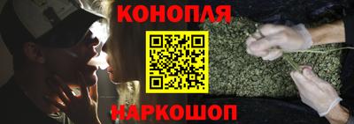 прущие грибы Будённовск