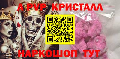 прущие грибы Будённовск