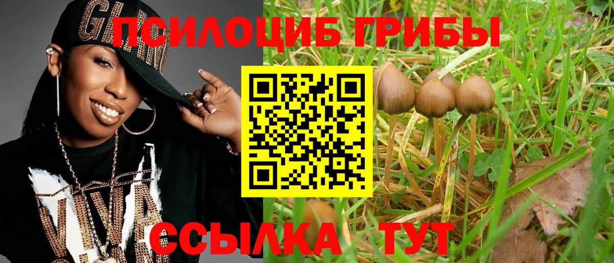 Галлюциногенные грибы прущие грибы  Вход с VPN  хочу наркоту  Ессентуки 