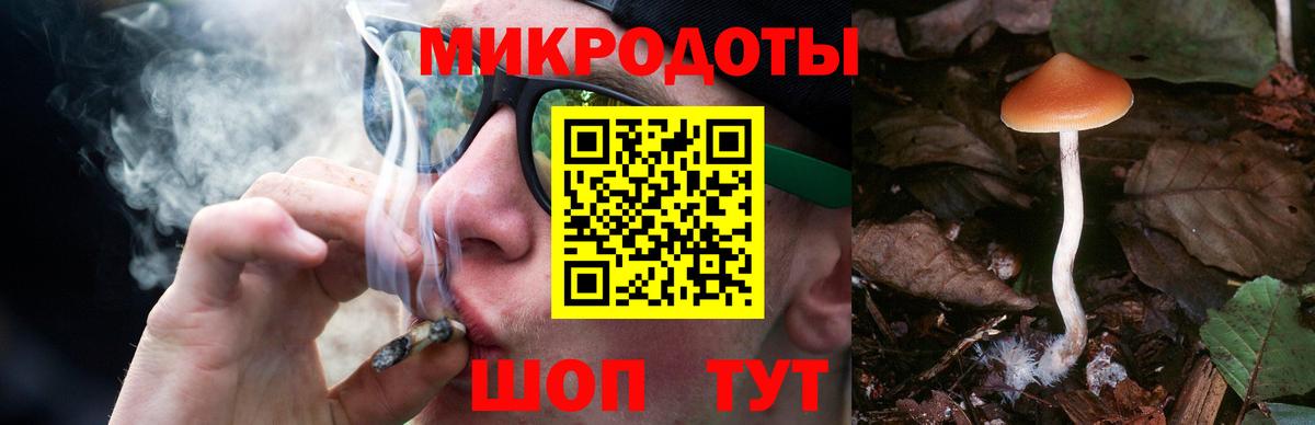 Галлюциногенные грибы прущие грибы Ессентуки